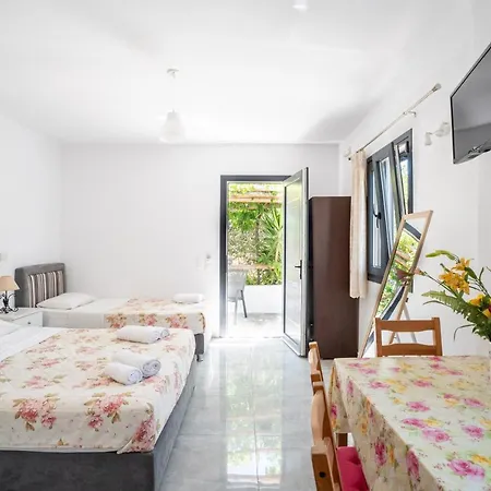 Liana Studios Apartment Mykonos Town